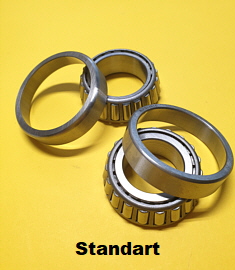 Lenkkopfl_Stand_250x312