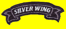 Patch-Silverwing