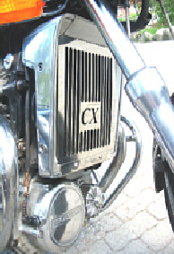 CX500 Edelstahlgrill